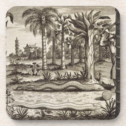 De Stone Snake uit 'China geïllustreerd' door Atha Onderzetter (Voorkant)