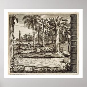 De Stone Snake uit China geïllustreerd door Athan Poster