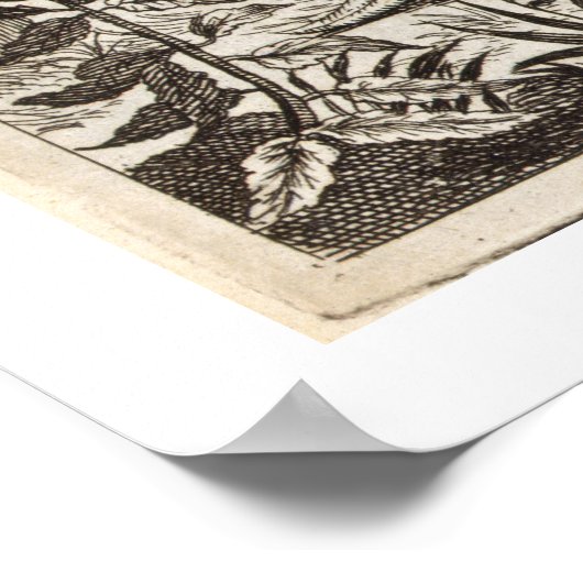 De Stone Snake uit China geïllustreerd door Athan Poster (Hoek)