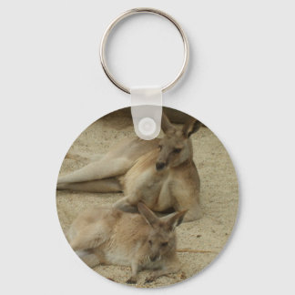 De stralen vangen sleutelhanger