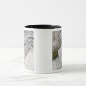 De straten van New England en de Maritimes Mok (Midden)