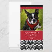 DE STREPEN VAN DE CHEVRON %PIPE% KAART VAN DE FOTO (Voorkant / Achterkant)