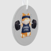 De strijd is echt ornament (voorkant)