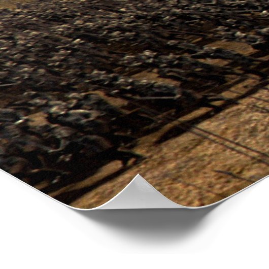 De strijd om de Pelennor Fields Poster (Hoek)