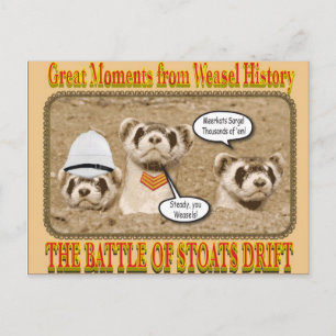 De strijd om het briefkaart Stoats Drift