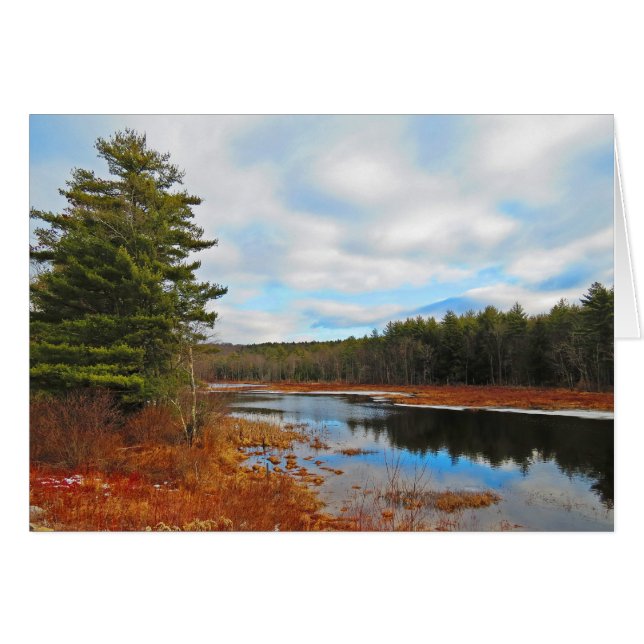 De Stroom van het moeras (Voorkant Horizontaal)