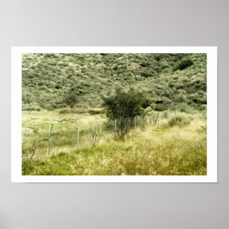 De Struik en de omheining Poster