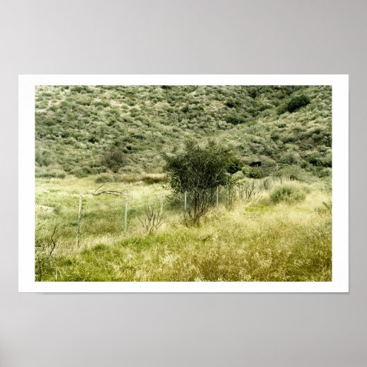 De Struik en de omheining Poster (Voorkant)