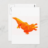 DE SUNNY GATOR BRIEFKAART (Voorkant / Achterkant)