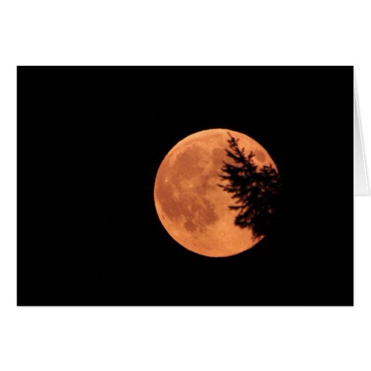 De Super Moon. (Voorkant Horizontaal)