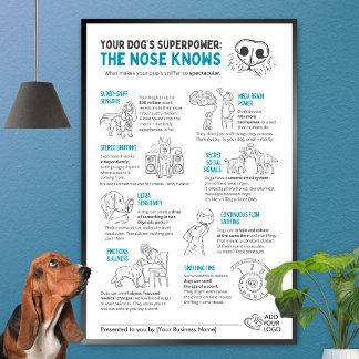 De superkracht van uw hond - de neus weet het poster