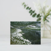 DE SWAN BRIEFKAART (Staand voorkant)