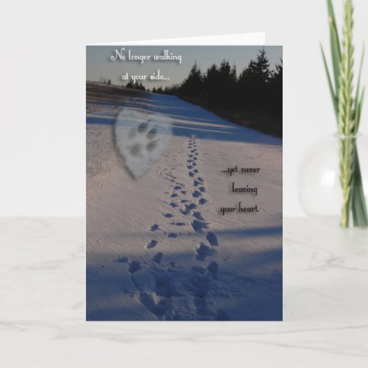 De Sympathie van de hond Kaart (Voorkant)