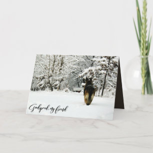 De Sympathie van het Verlies van het Huisdier van Kaart