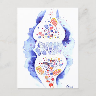 De synaps en de zenuwimpuls canvas print jig briefkaart