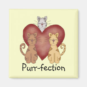 De T-shirts en de Giften van snorren-Fection van k Magneet