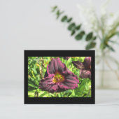 De taal van bloemen Donkere dag lieveling briefkaa Briefkaart (Staand voorkant)