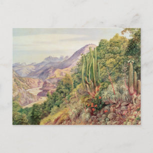 De taalstromen in Cordellera, Chili Briefkaart