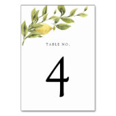 De Table Citrons vintages et verdure Numéro du tableau (Dos)