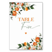 De Table Eucalyptus oranges agrumes numéro du tableau cinq (Dos)