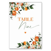 De Table Eucalyptus oranges agrumes numéro du tableau Neuf (Dos)