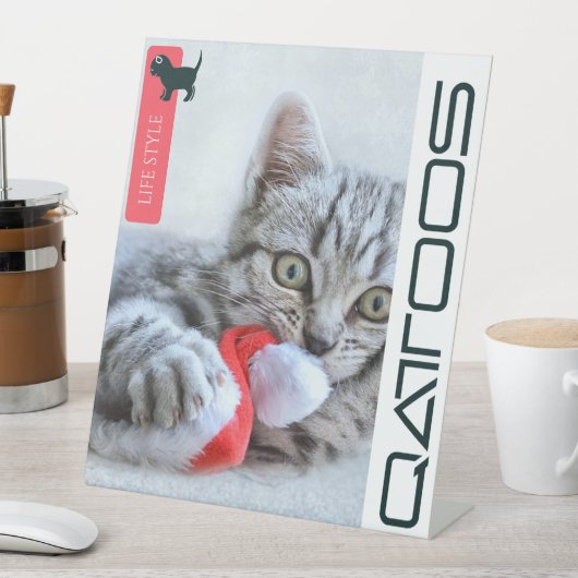 DE TABLE SIGNE PÉDESTAL QATTOOS (In SItu)