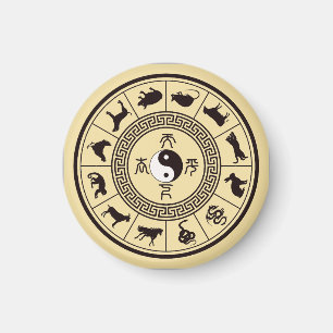 De Tai Chi Zodiacwiel Magneet