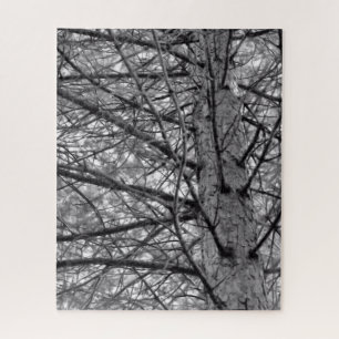 De Tak van de Boom van de pine in Zwart en Wit Legpuzzel