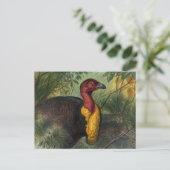 De Talegalla van Joseph Wolf Briefkaart (Staand voorkant)