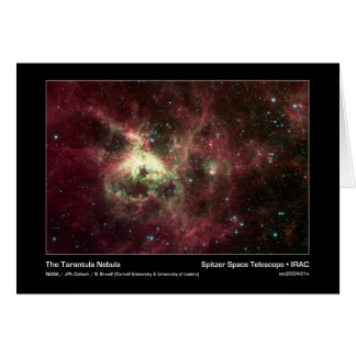 De Tarantula Nebula - Spitzer Space Telescope - I