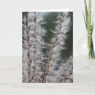 De Tarwe van de winter Kaart