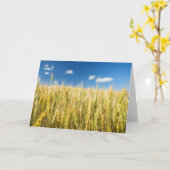 De Tarwe van Kansas Kaart (Gele Bloem)
