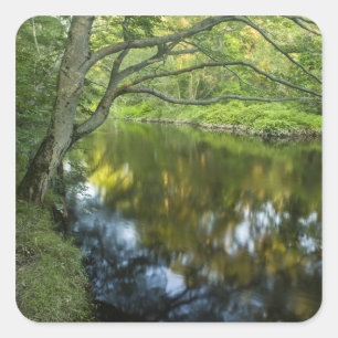 De Taunton rivier in Bridgewater, Vierkante Sticker