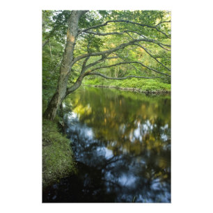 De Tauntonrivier in Bridgewater, 2 Foto Afdruk