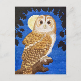 De Tawny Owl Briefkaart