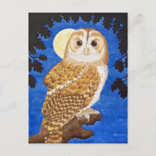 De Tawny Owl Briefkaart (Voorkant)