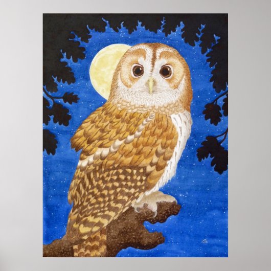 De Tawny Owl Poster (Voorkant)