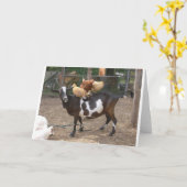 De taxi van de geit kaart (Gele Bloem)