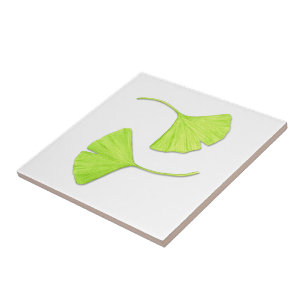 De Tegel van de Kunst van de Natuur van de Tegeltje