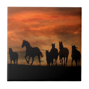 De Tegel van de Kunst van het paard Tegeltje