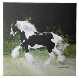 De Tegel van het Paard "Tamlin" Tegeltje