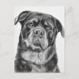 De Tekening van Rottweiler Briefkaart