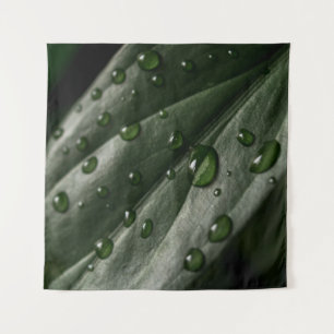 De textuur van het plant van leder laat water vall wandkleed
