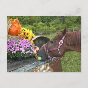 De Thanksgiving van het paard Feestdagenkaart