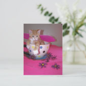 De theebeker fee briefkaart (Staand voorkant)