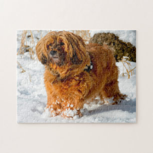 De Tibetaanse Terrier Dog Jigsaws. Legpuzzel