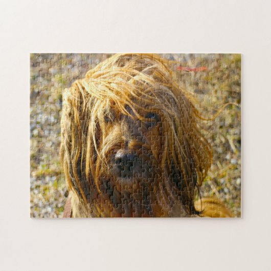 De Tibetaanse Terrier Dog Jigsaws. Legpuzzel (Horizontaal)