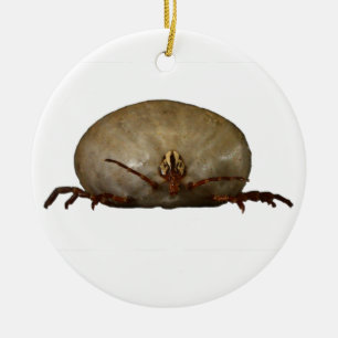 De Tick Keramisch Ornament