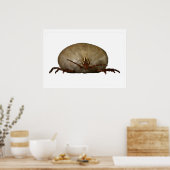 De Tick Poster (Keuken)