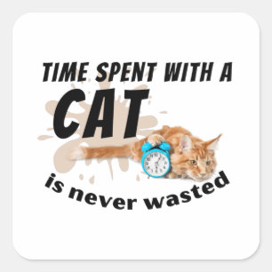 De tijd die met een kat wordt doorgebracht, wordt vierkante sticker